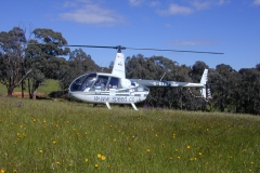 Australia Blue Mountains R44 in meadow